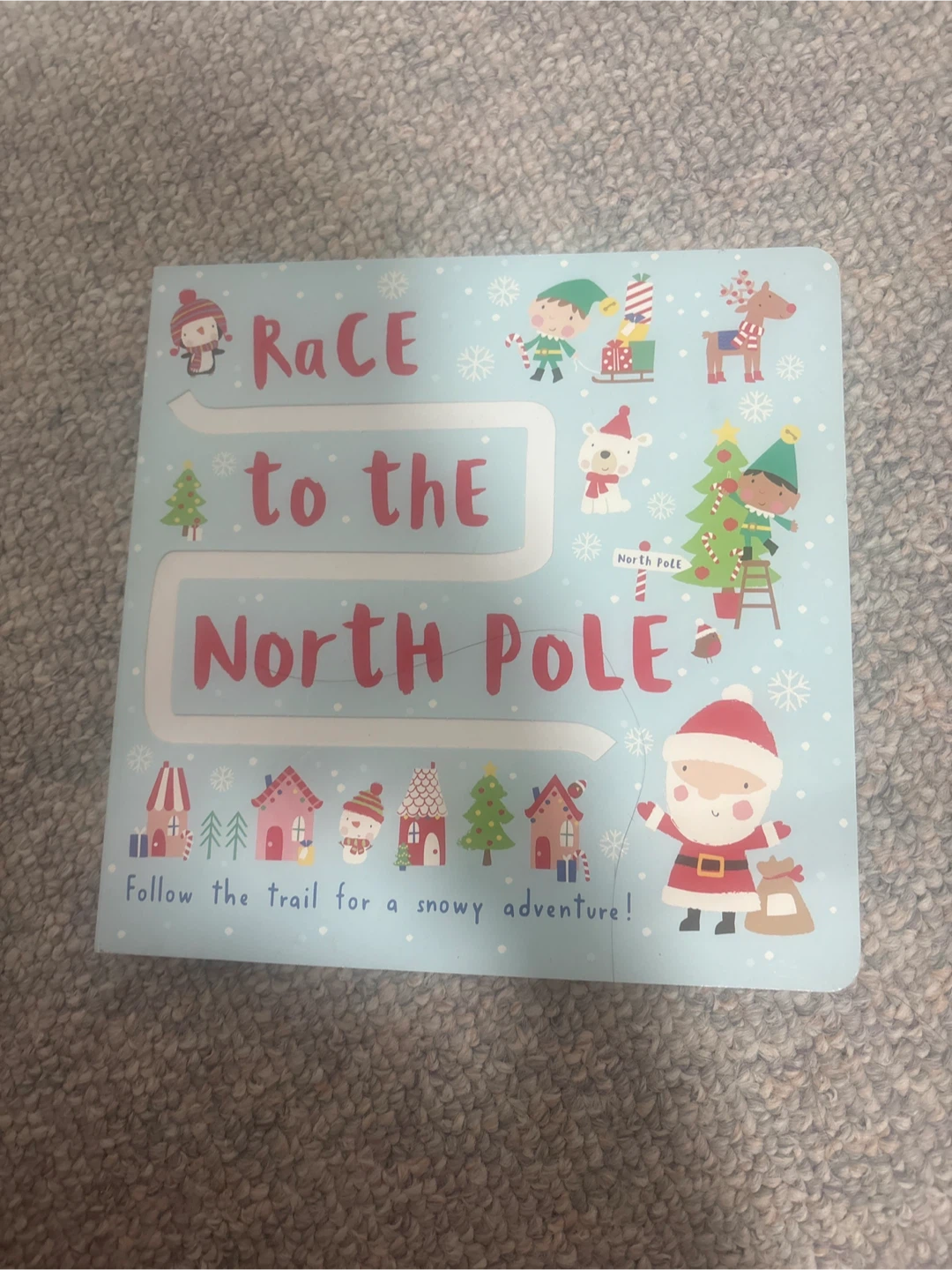 Race to the North Pole Book