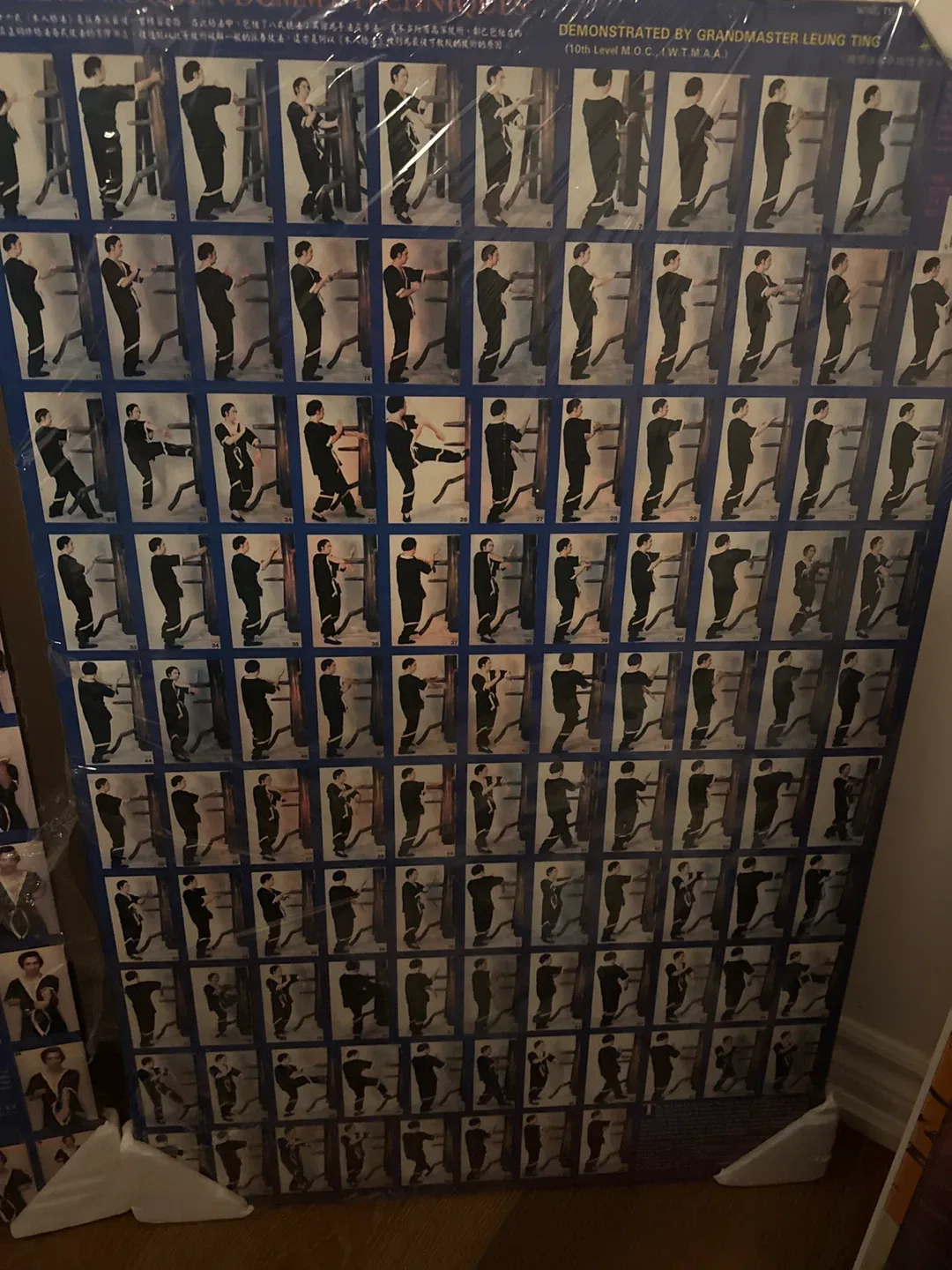 Wing Tsun Kung Fu Posters - Leung Ting image indicator(3)