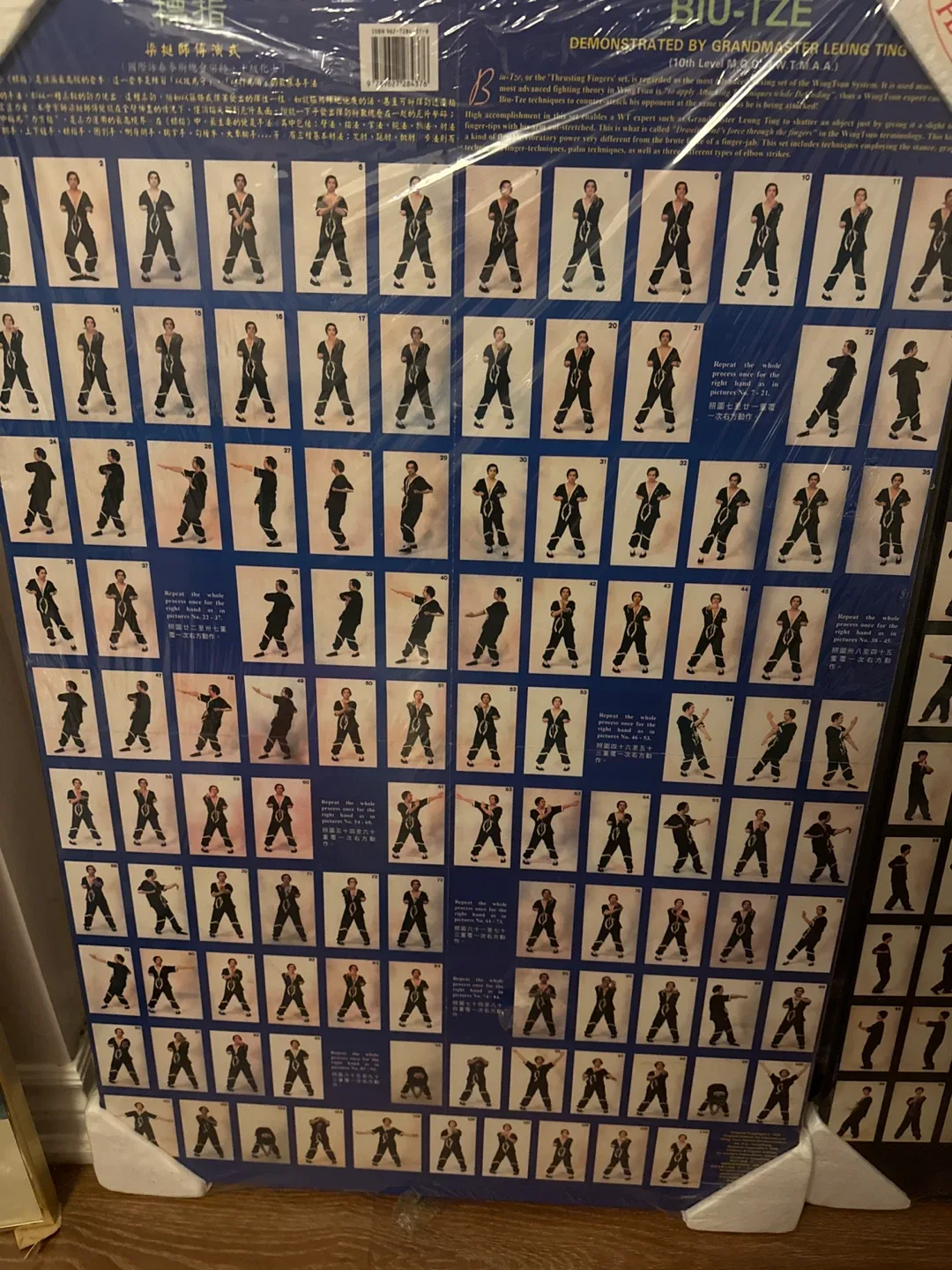 Wing Tsun Kung Fu Posters - Leung Ting image indicator(4)