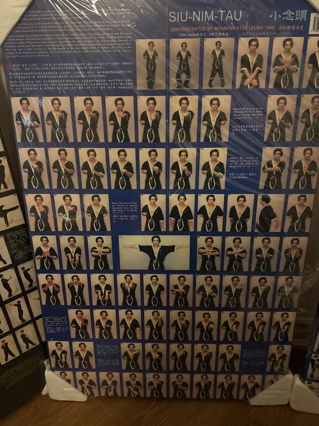 Wing Tsun Kung Fu Posters - Leung Ting thumbnail