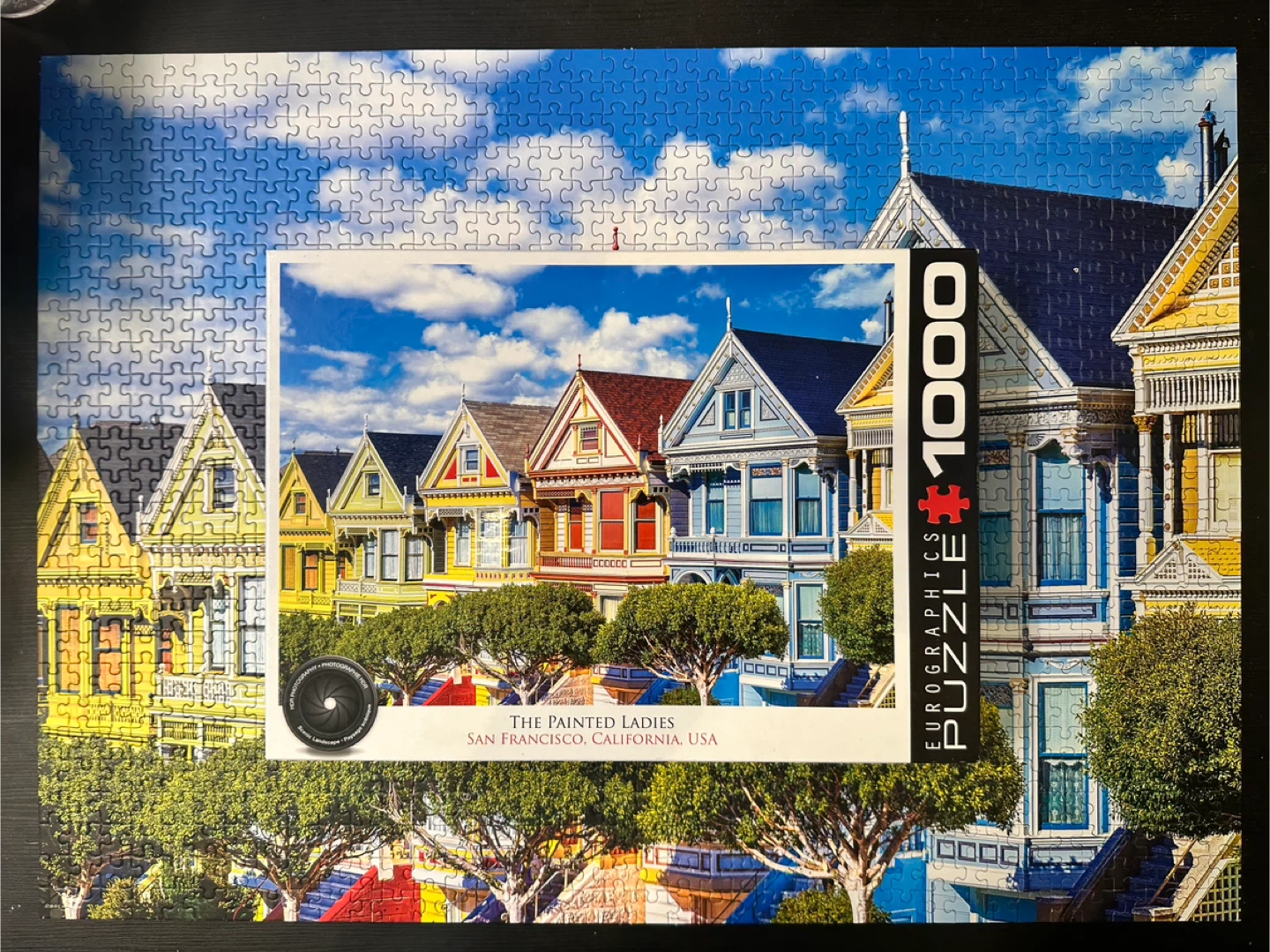 Puzzle: 1000 The Painted Ladies SF