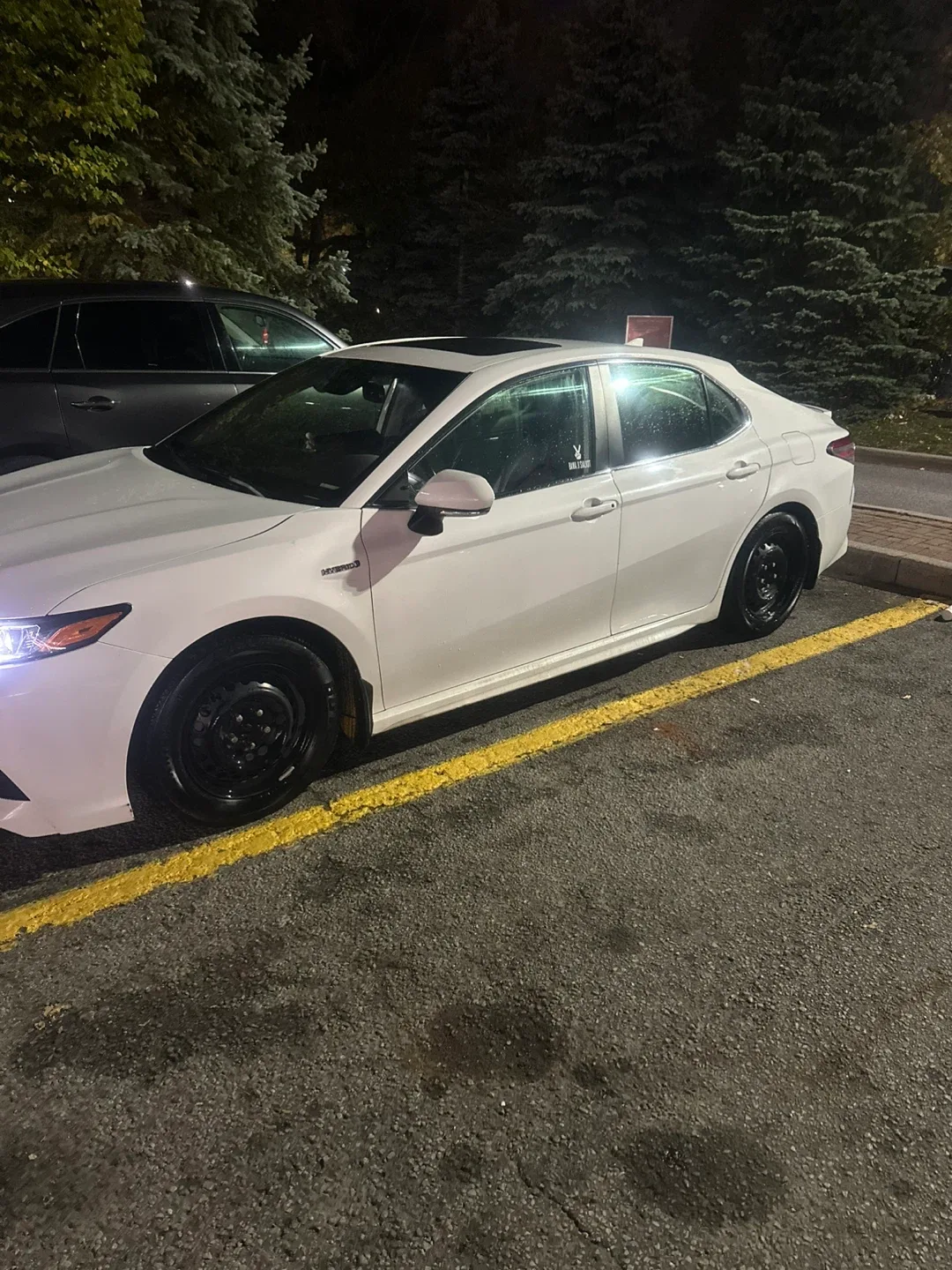 Toyota Camry Hybrid - White Sedan image indicator(6)