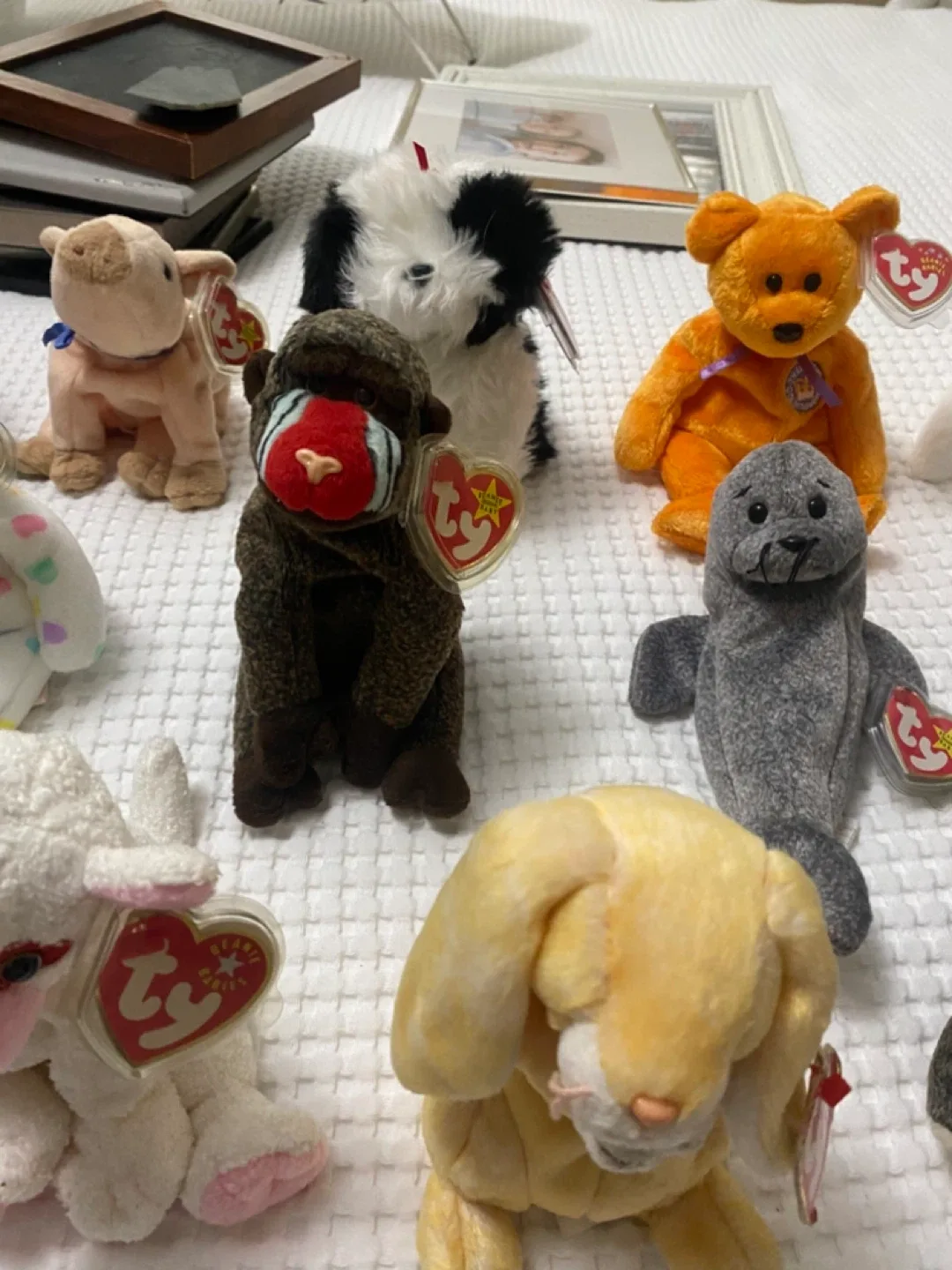 Ty Beanie Babies Collection image indicator(2)