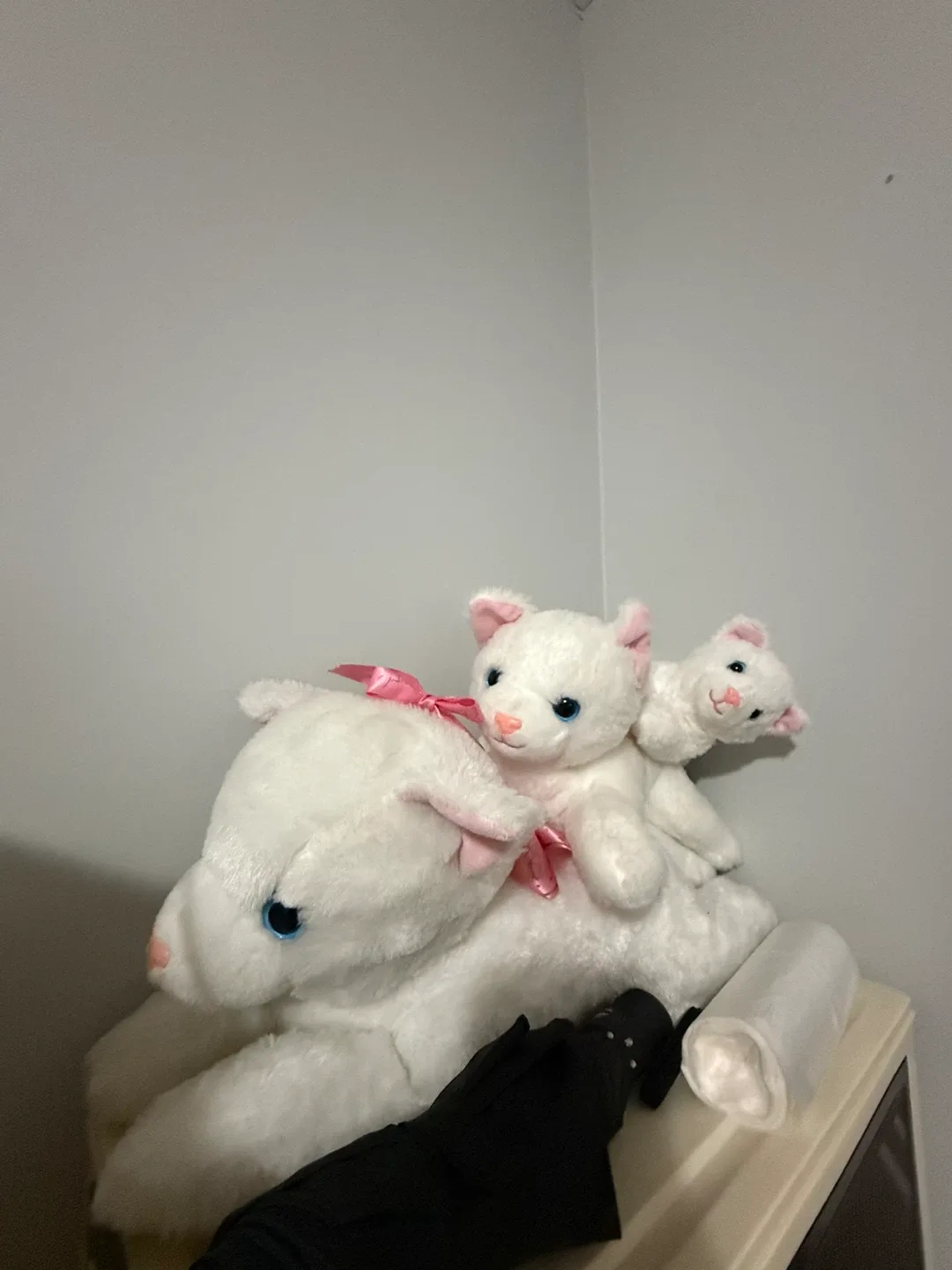 White Cat Plush Toy Set