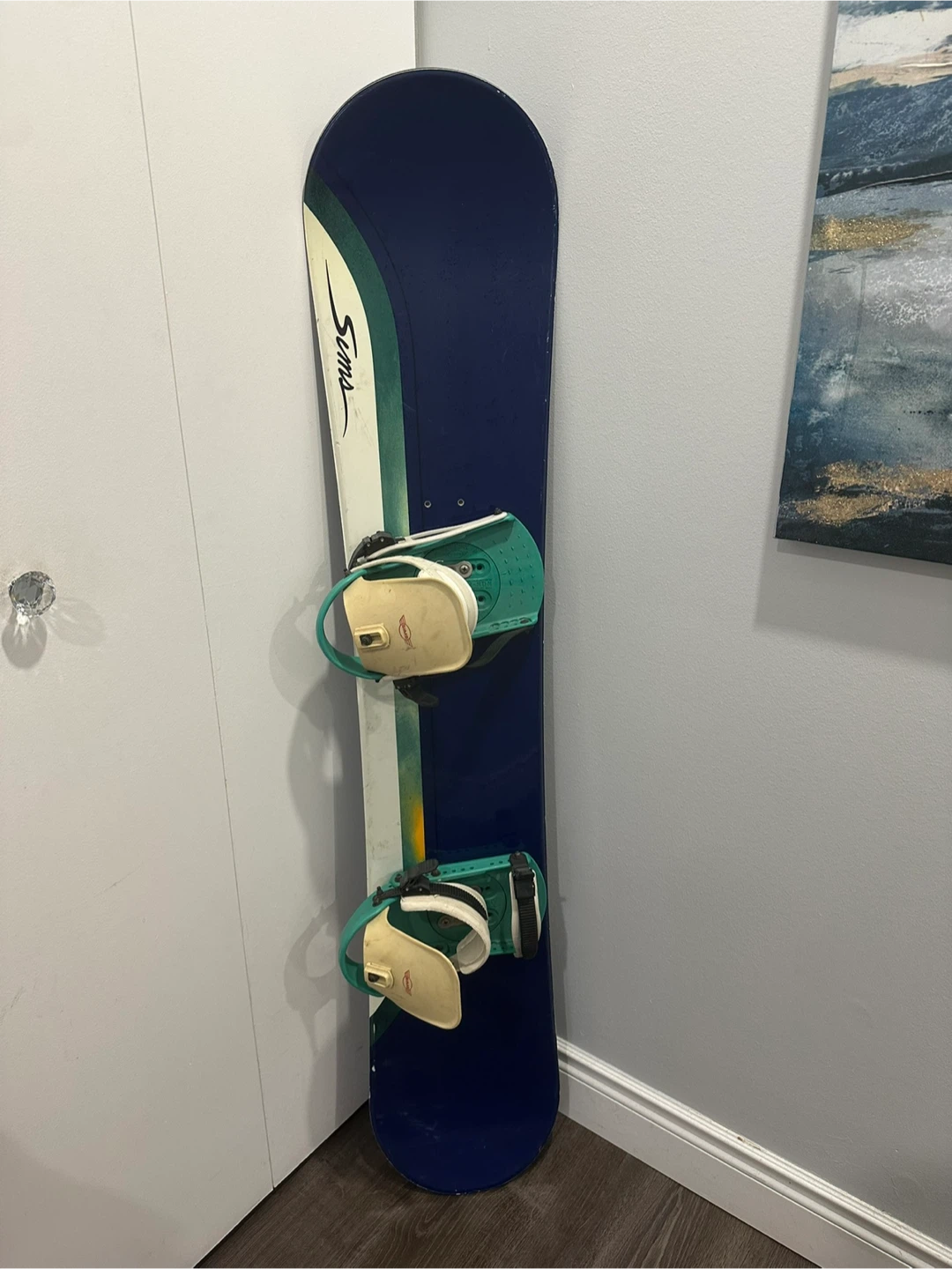 Sims Snowboard with Bindings