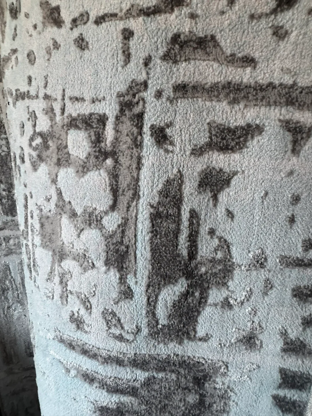 Patterned Area Rug image indicator(4)