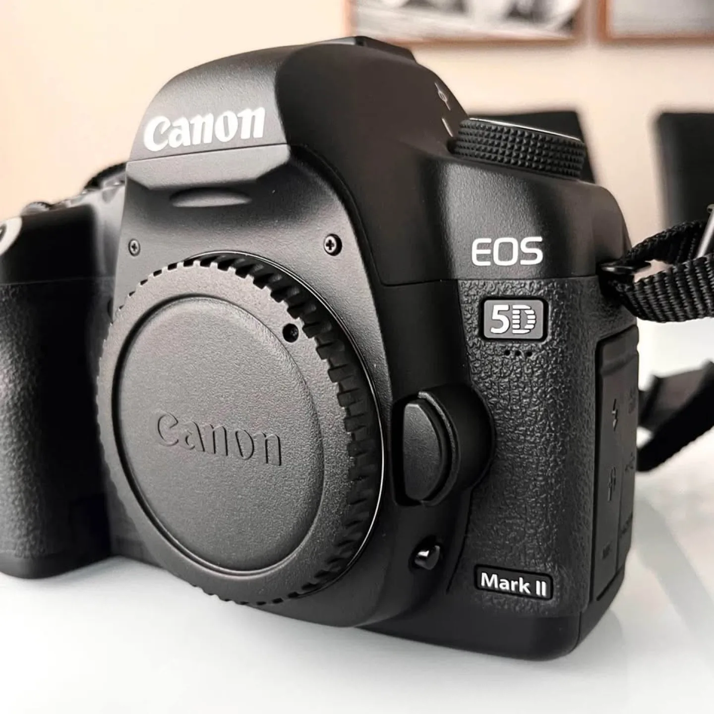 Canon EOS 5D Mark II Digital Camera image indicator(4)