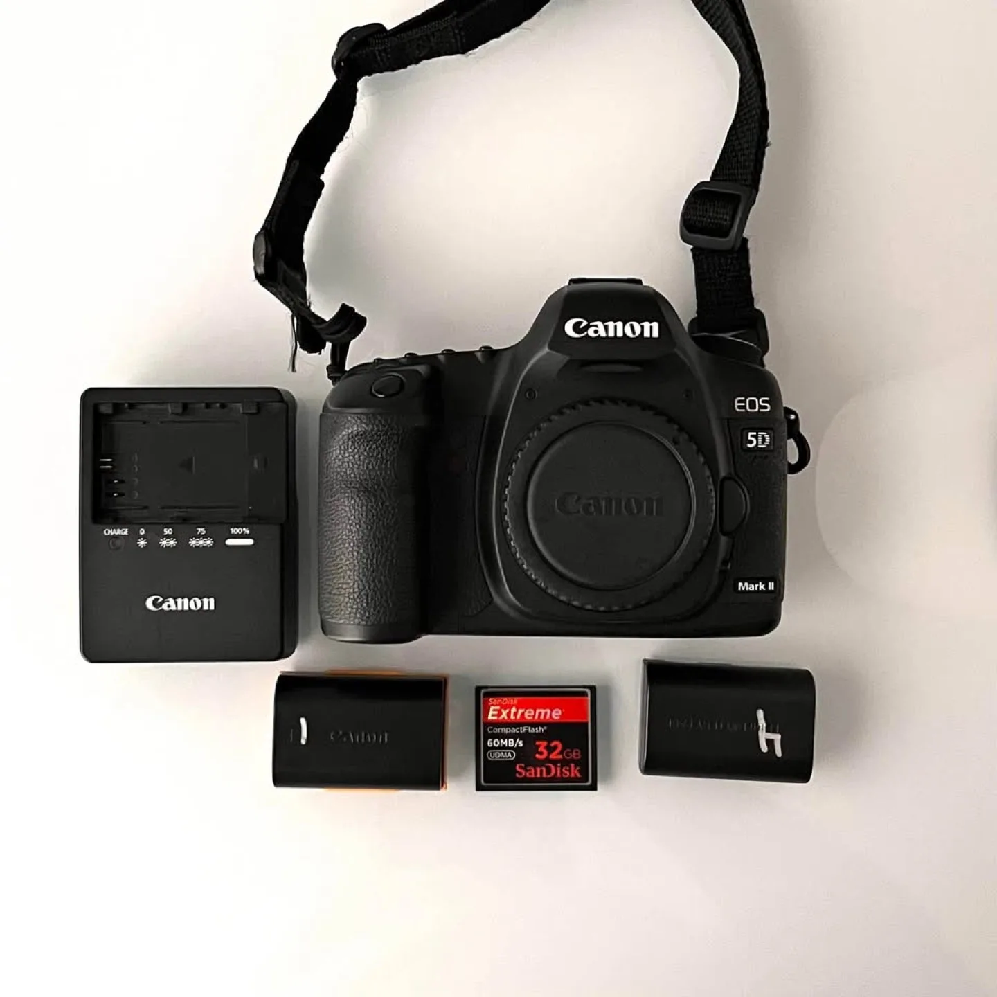 Canon EOS 5D Mark II Digital Camera image indicator(5)