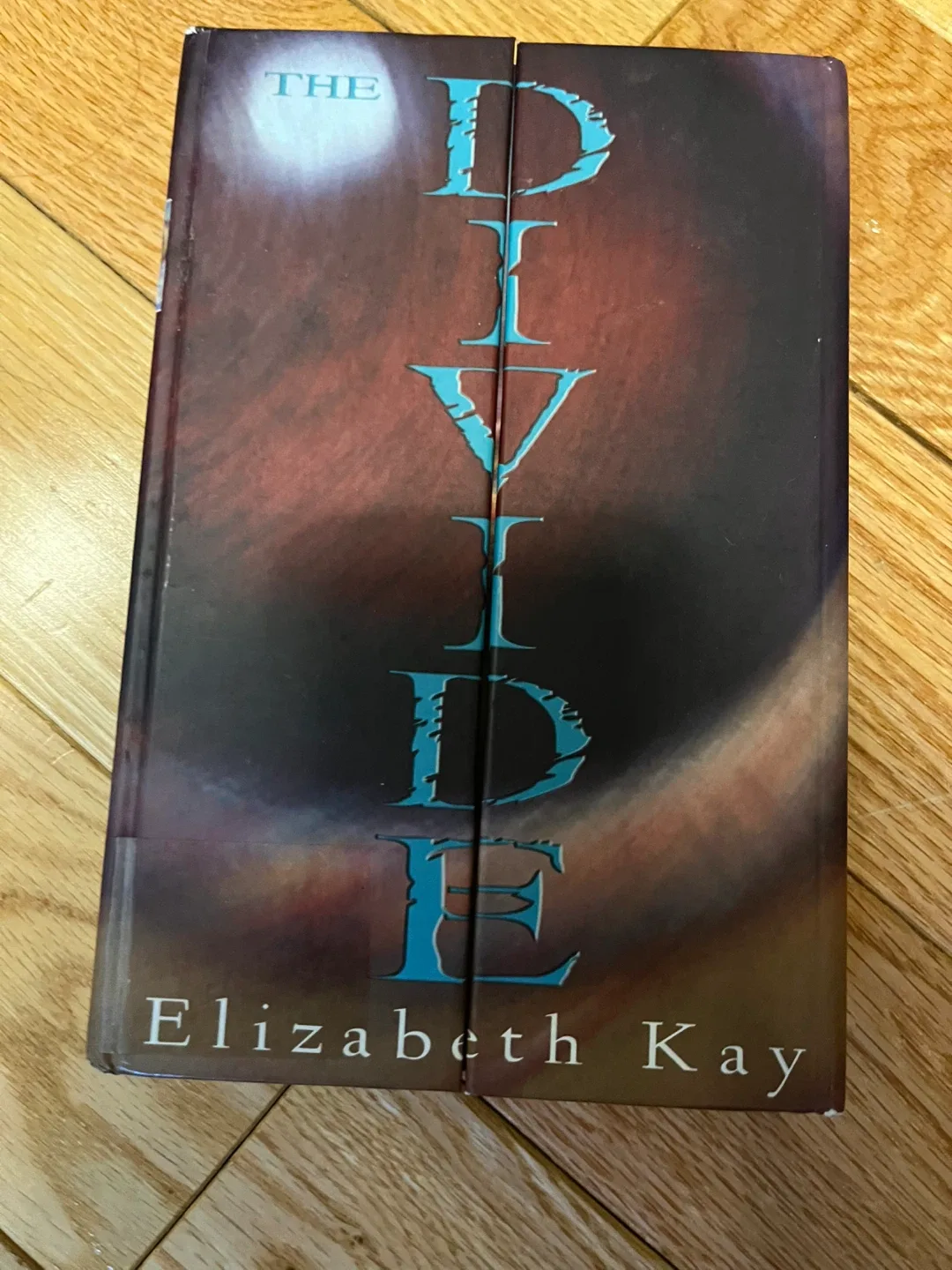 The Divide by Elizabeth Kay thumbnail
