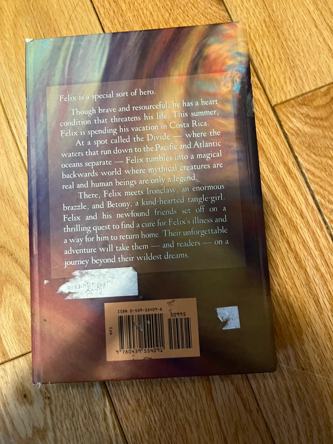 The Divide by Elizabeth Kay image indicator(2)