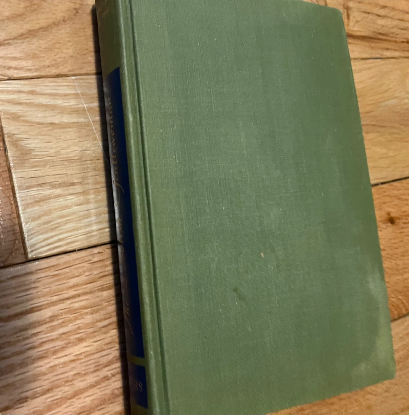 The Foolish Gentlewoman by Margery Sharp - photo 2