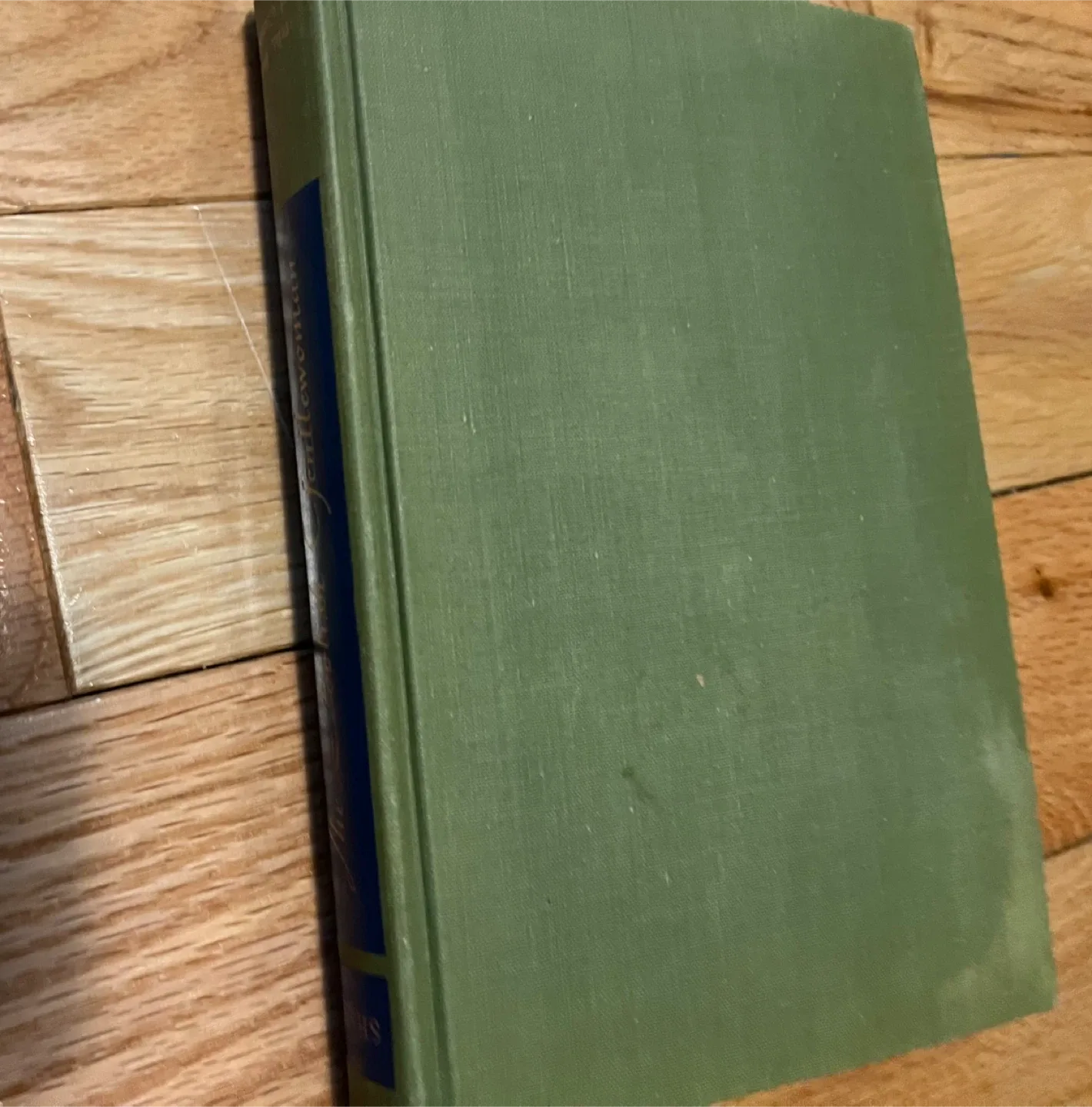 The Foolish Gentlewoman by Margery Sharp image indicator(2)