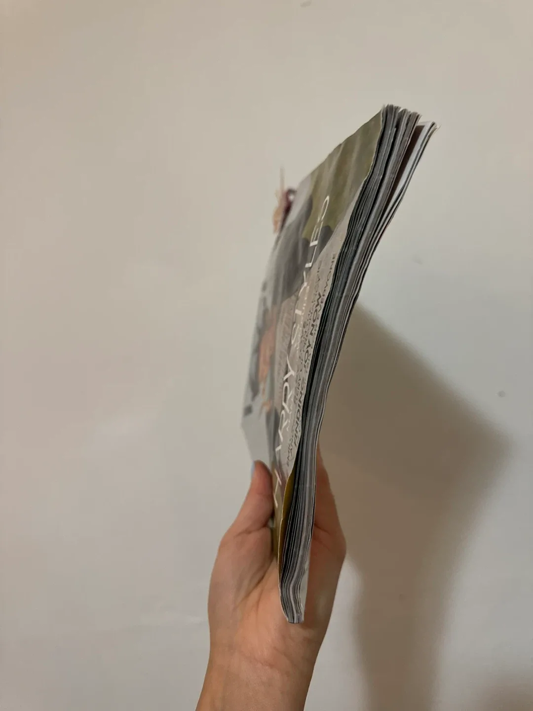 Vogue Magazine December - Harry Styles image indicator(2)