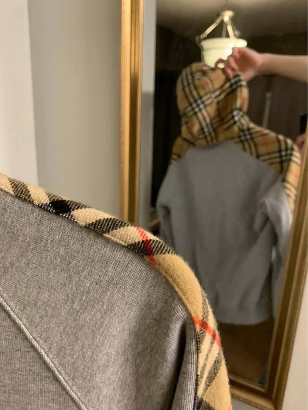 Burberry Grey Hoodie with Check Trim image indicator(3)