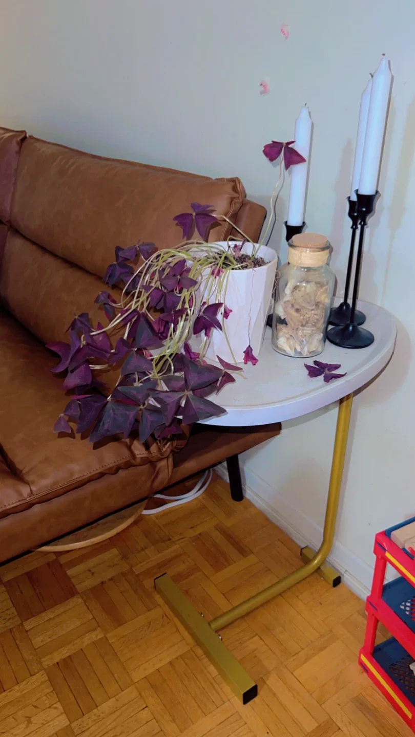Side Table with Gold Base image indicator(2)