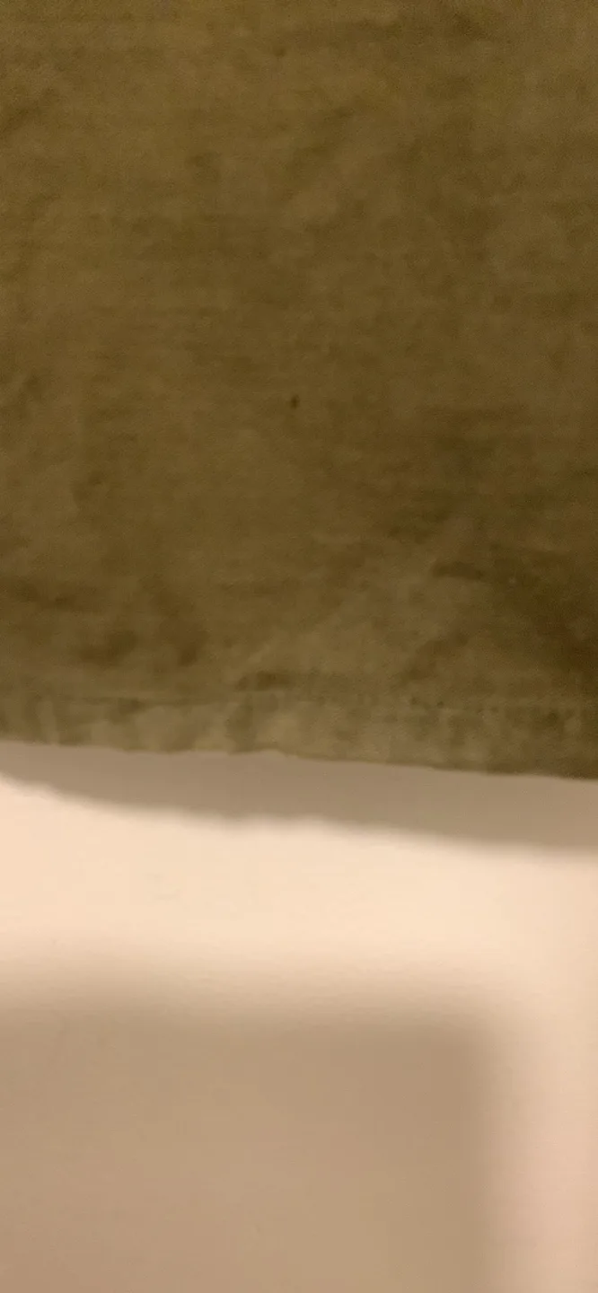 Olive Green Cargo Pants size small image indicator(5)