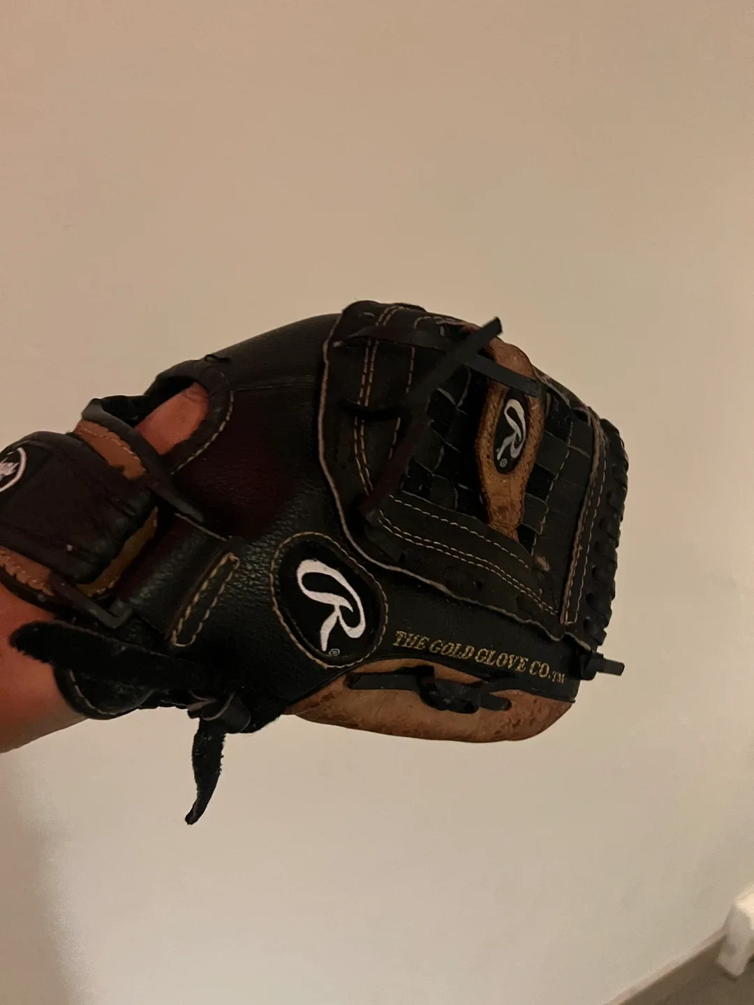 Rawlings Plainmaker Series Baseball Glove image indicator(2)