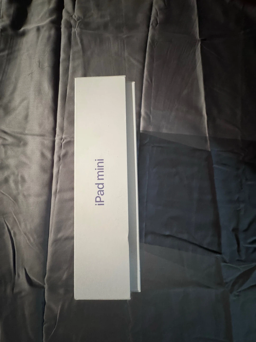 New Apple iPad mini Wi-Fi 256GB Purple - photo 2
