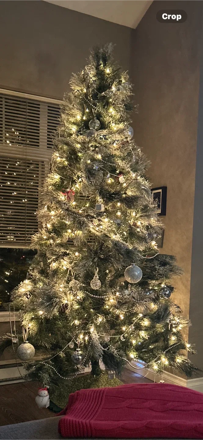Christmas Tree with lights