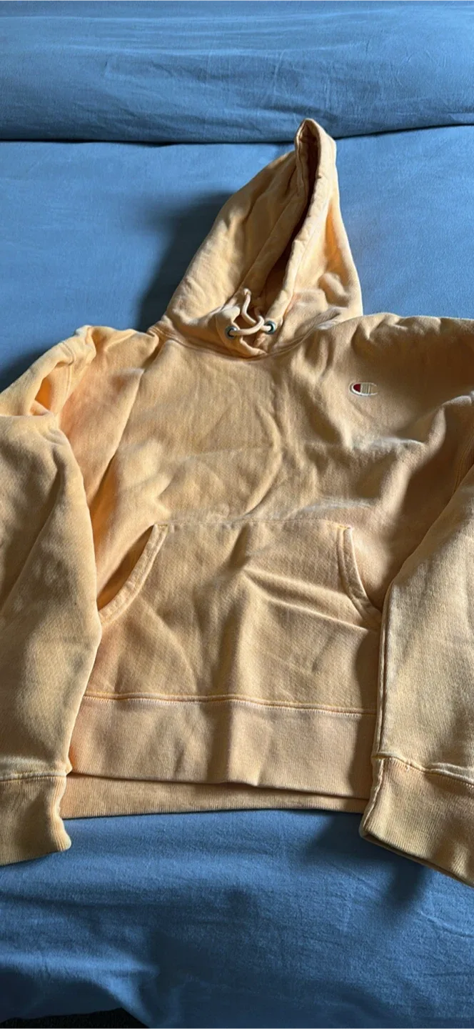 Champion Hoodie - orange , Size small image indicator(4)