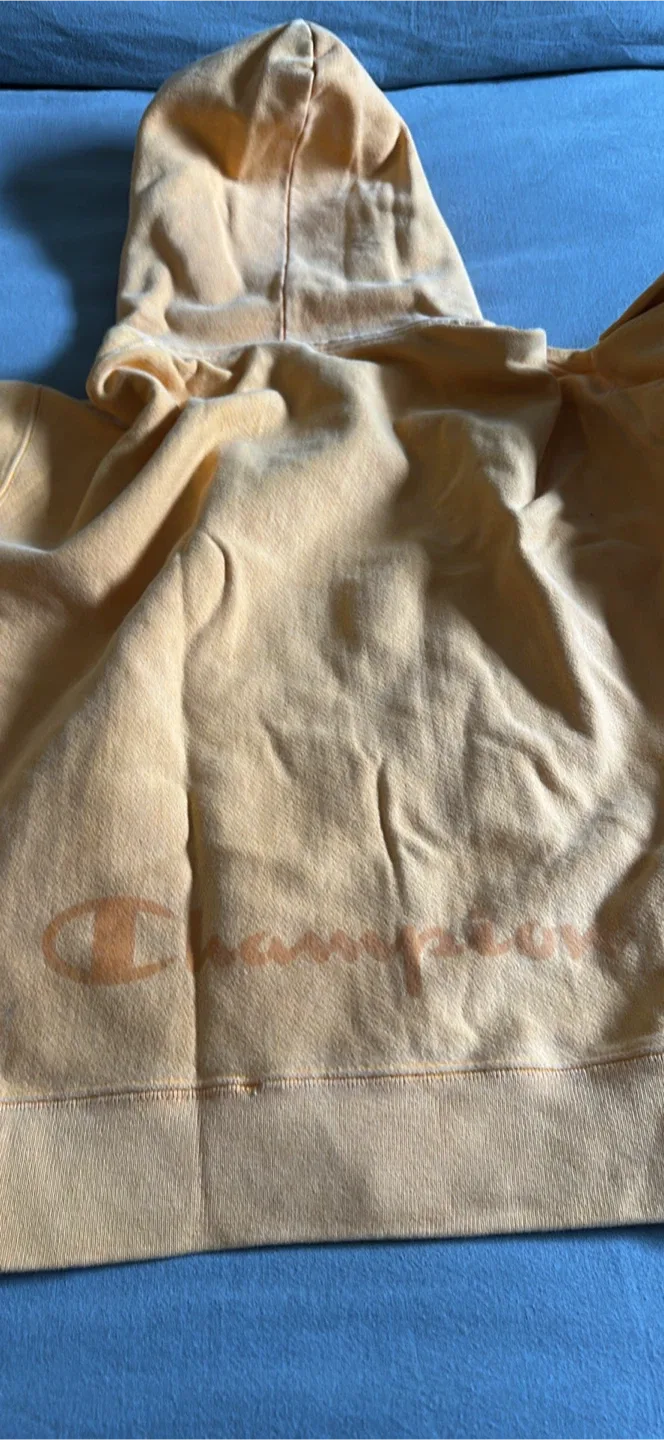 Champion Hoodie - orange , Size small image indicator(3)