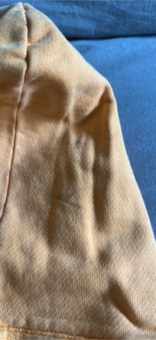 Champion Hoodie - orange , Size small image indicator(2)