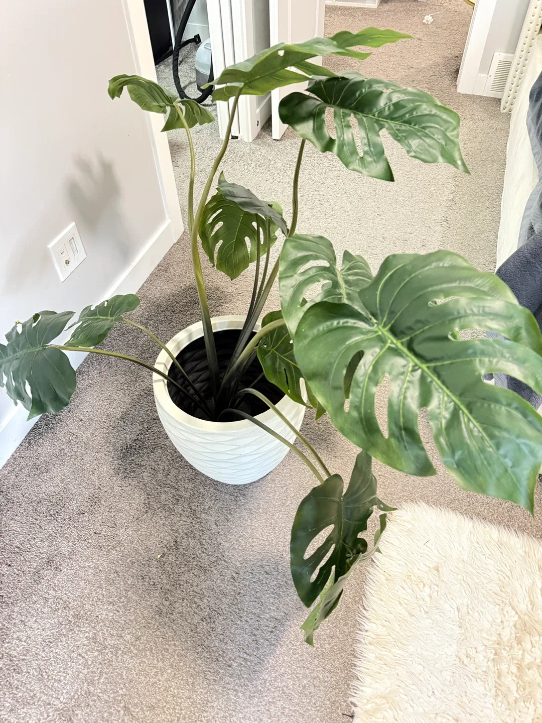 Home Decor Items image indicator(7)