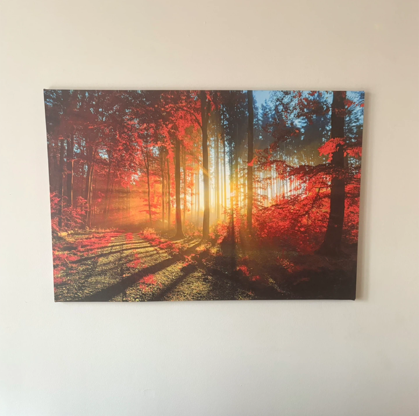 First Wall Art Canvas Print - Forest - photo 3