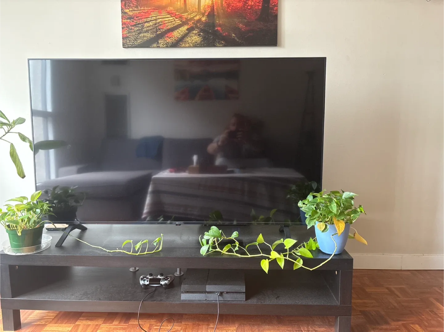 LG UHD TV image indicator(4)