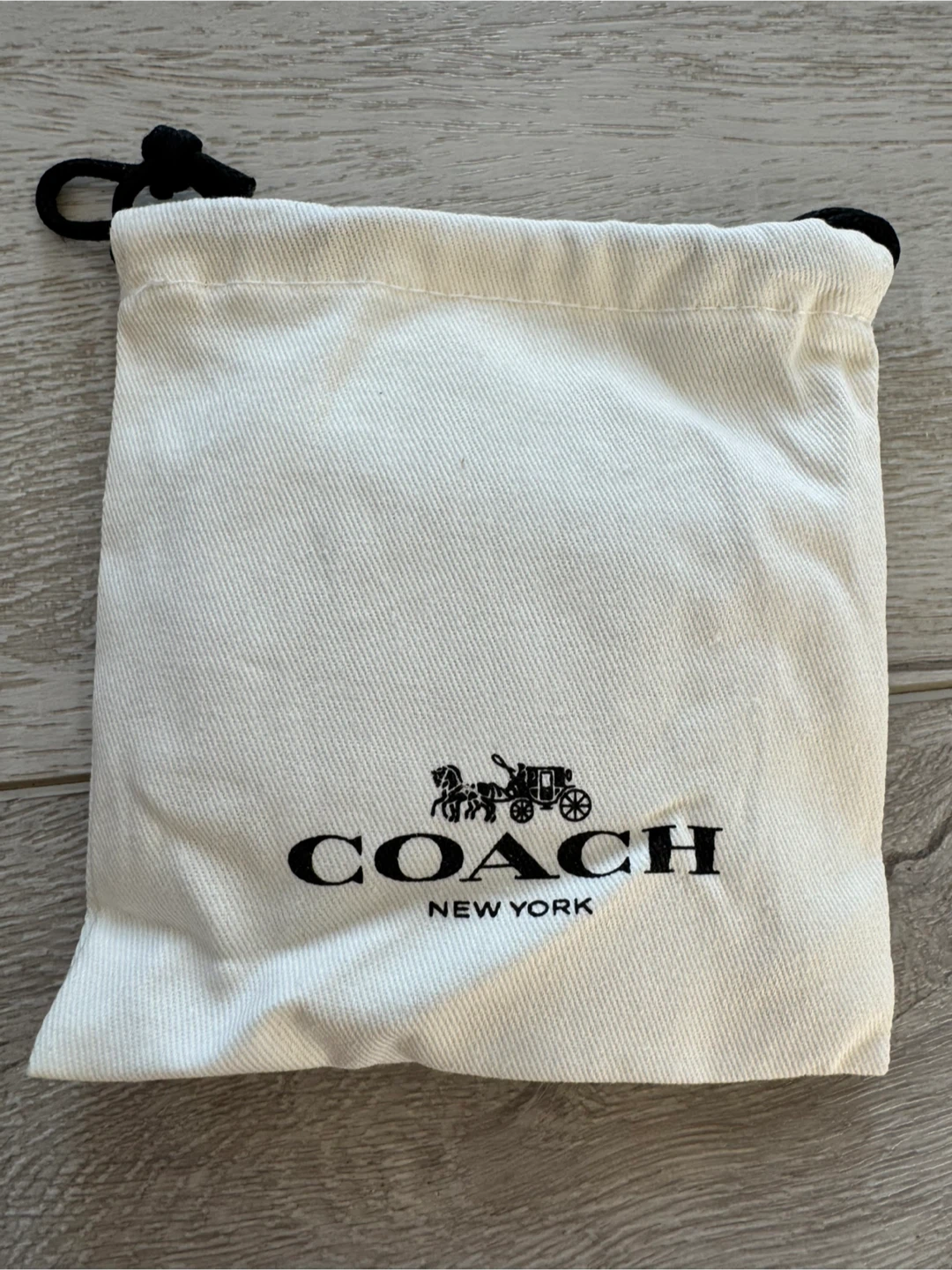 Coach Necklace & Earrings Set - photo 4