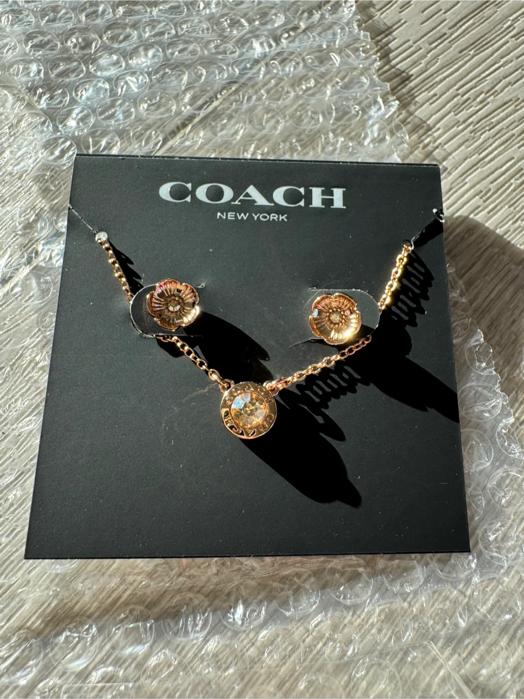 Coach Necklace & Earrings Set