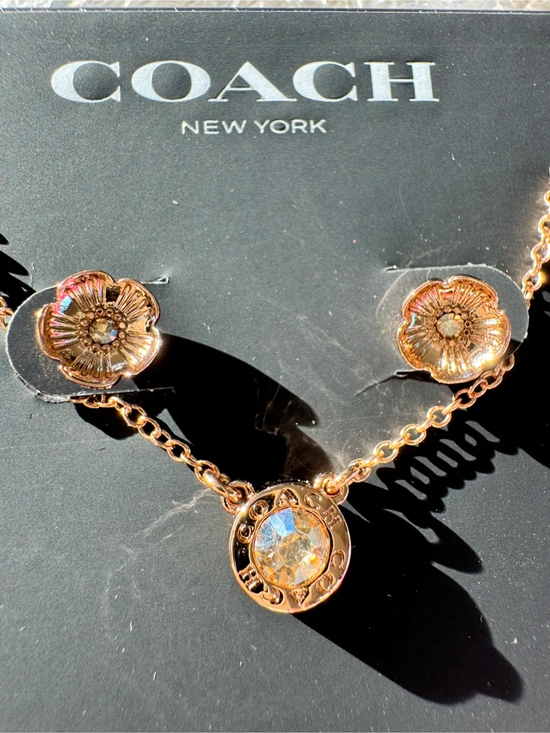 Coach Necklace & Earrings Set image indicator(2)