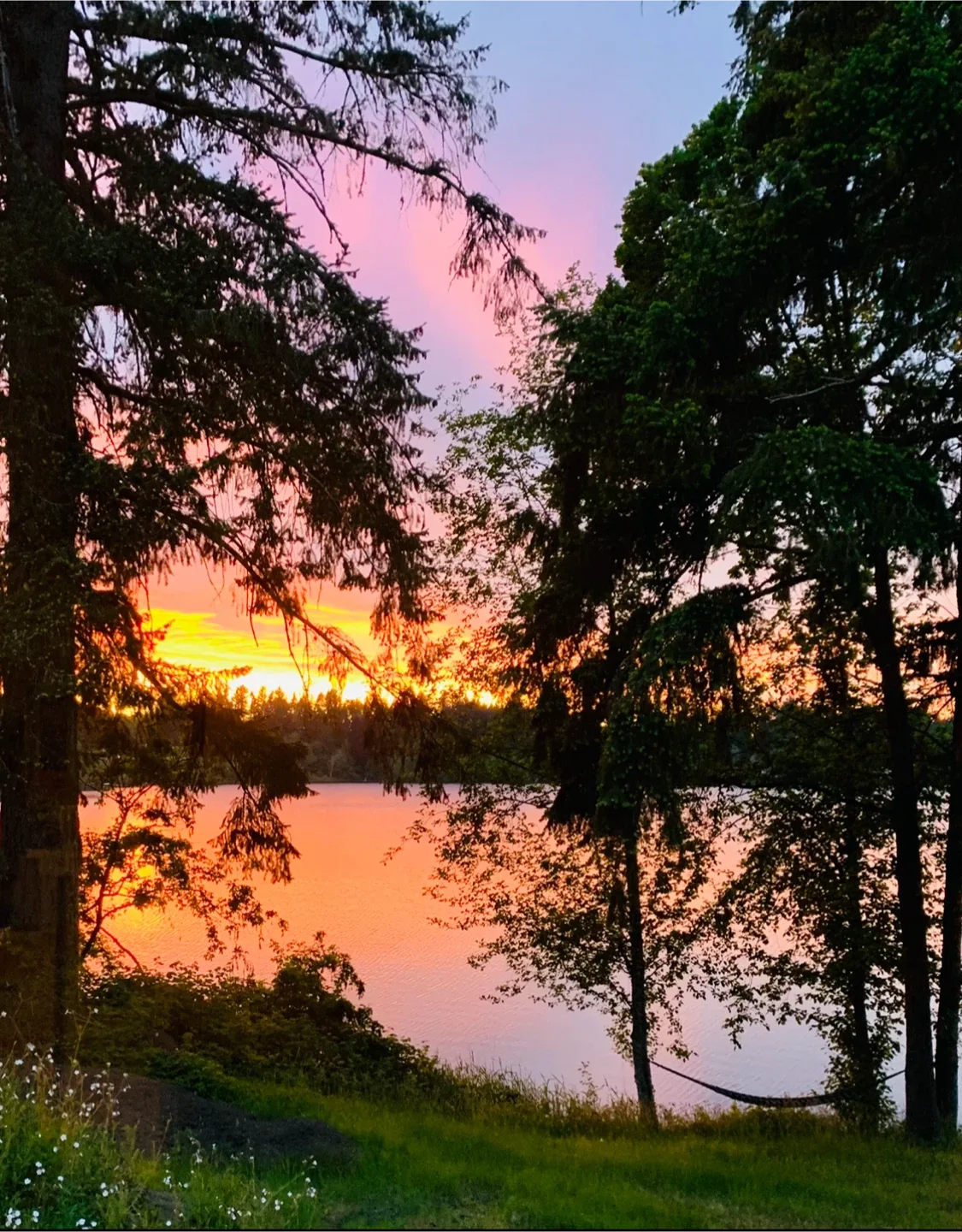 For Rent - Lakefront Self Contained 1 Bedroom Unit… image indicator(5)