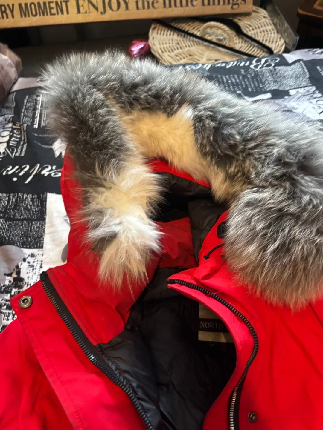 North Bear Red Winter Parka - Size M image indicator(6)