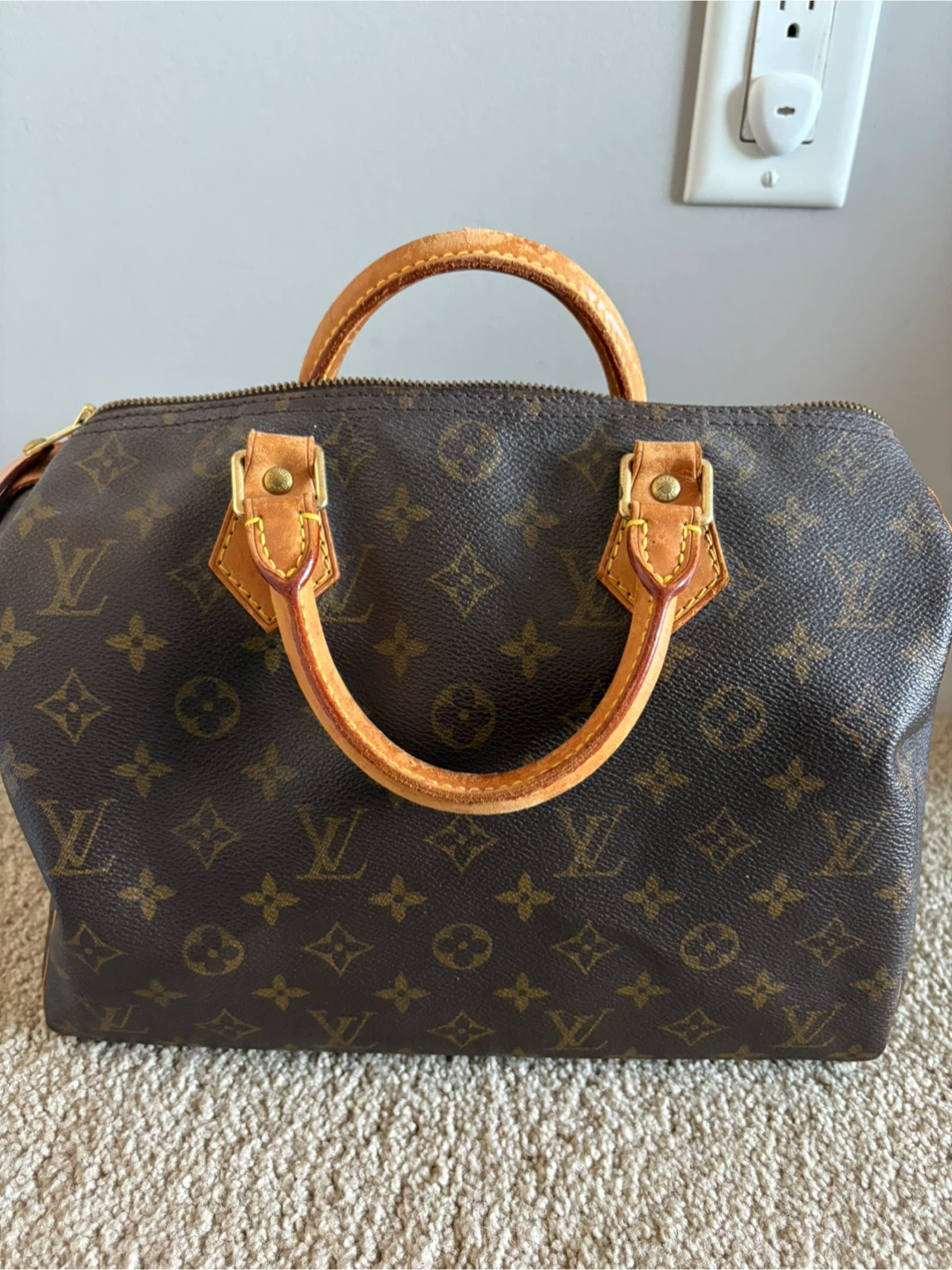 Louis Vuitton Monogram Speedy Bag