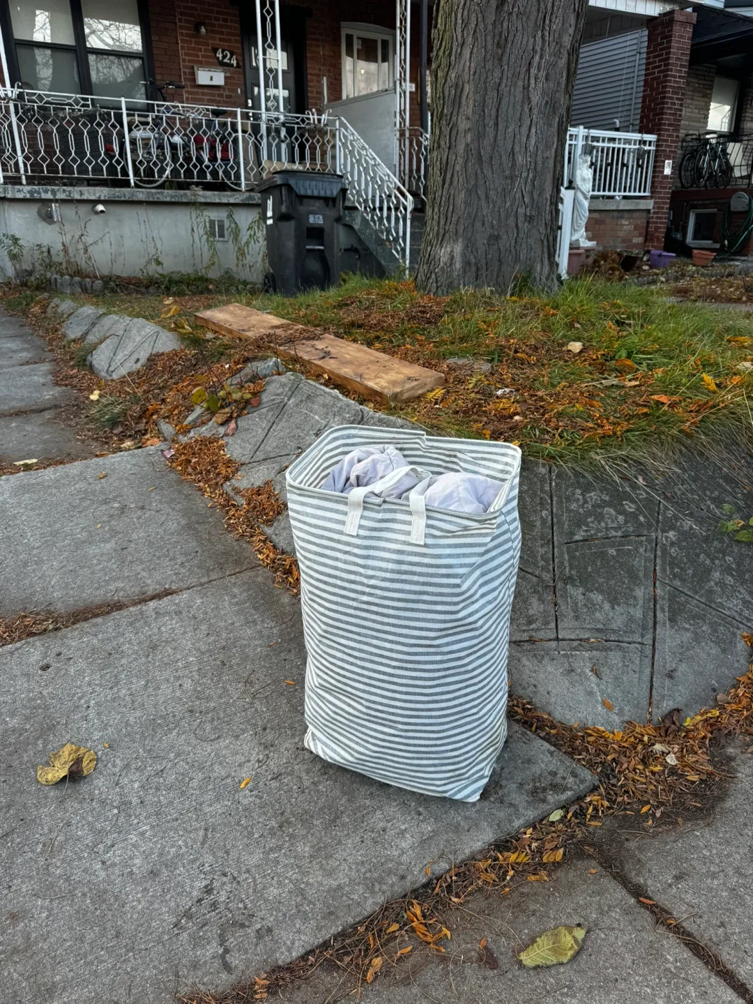 FREE laundry hamper and duvet