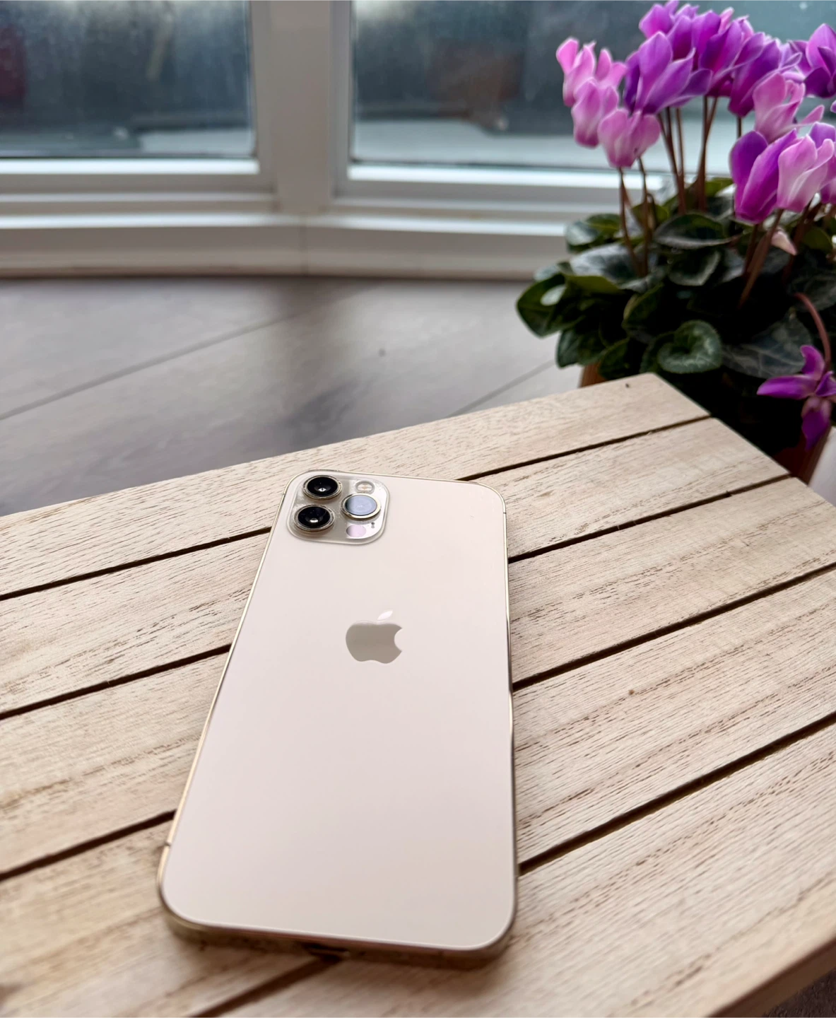 iPhone 12 Pro Max Gold