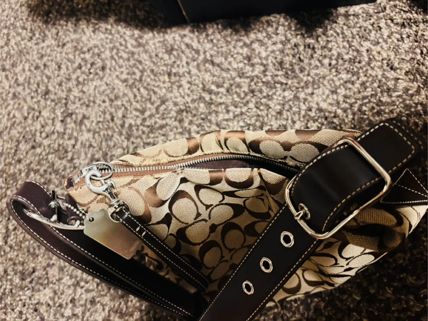 Coach Signature Hobo Bag & Metallic Boots w/ Box image indicator(4)