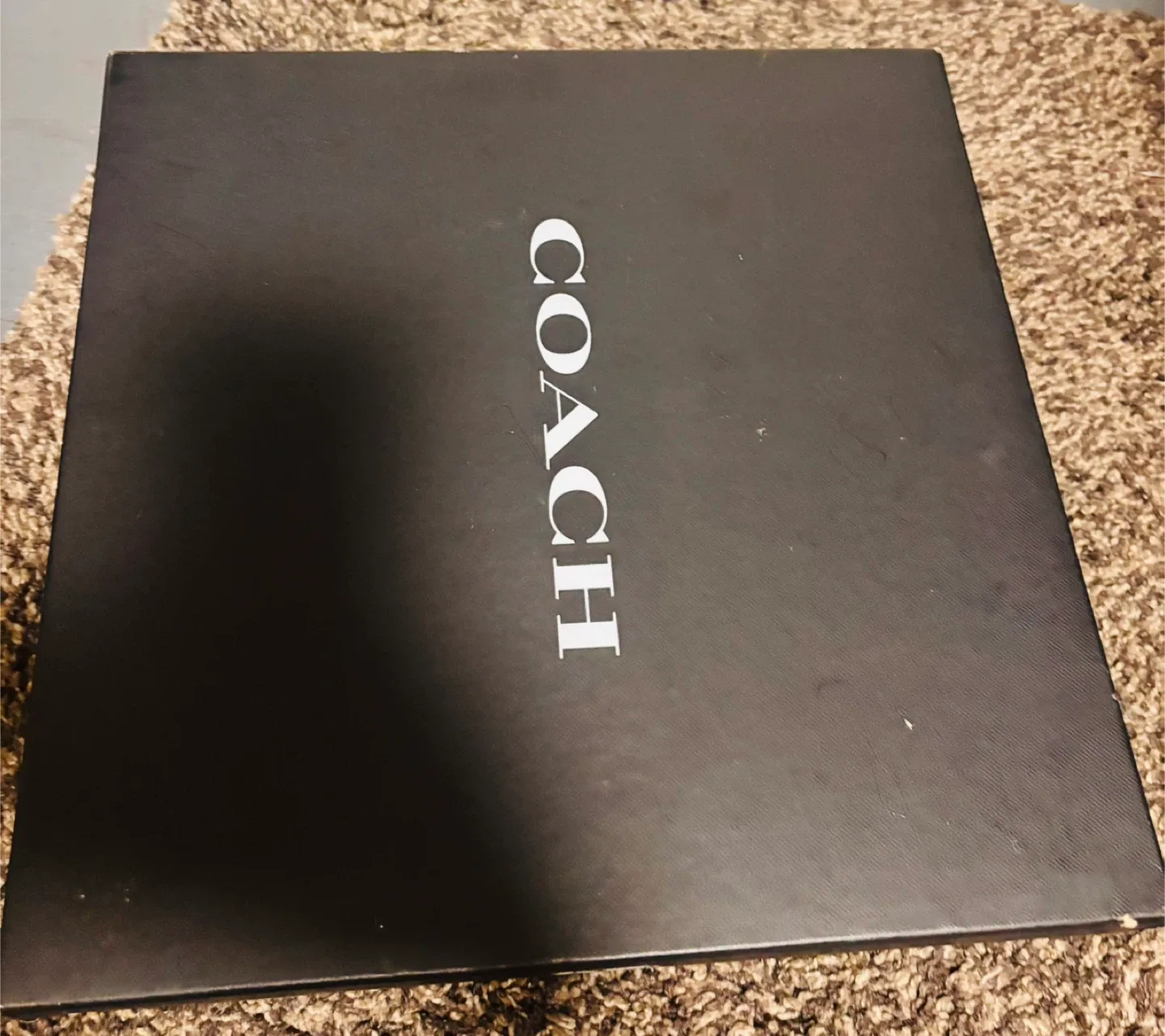 Coach Signature Hobo Bag & Metallic Boots w/ Box image indicator(3)