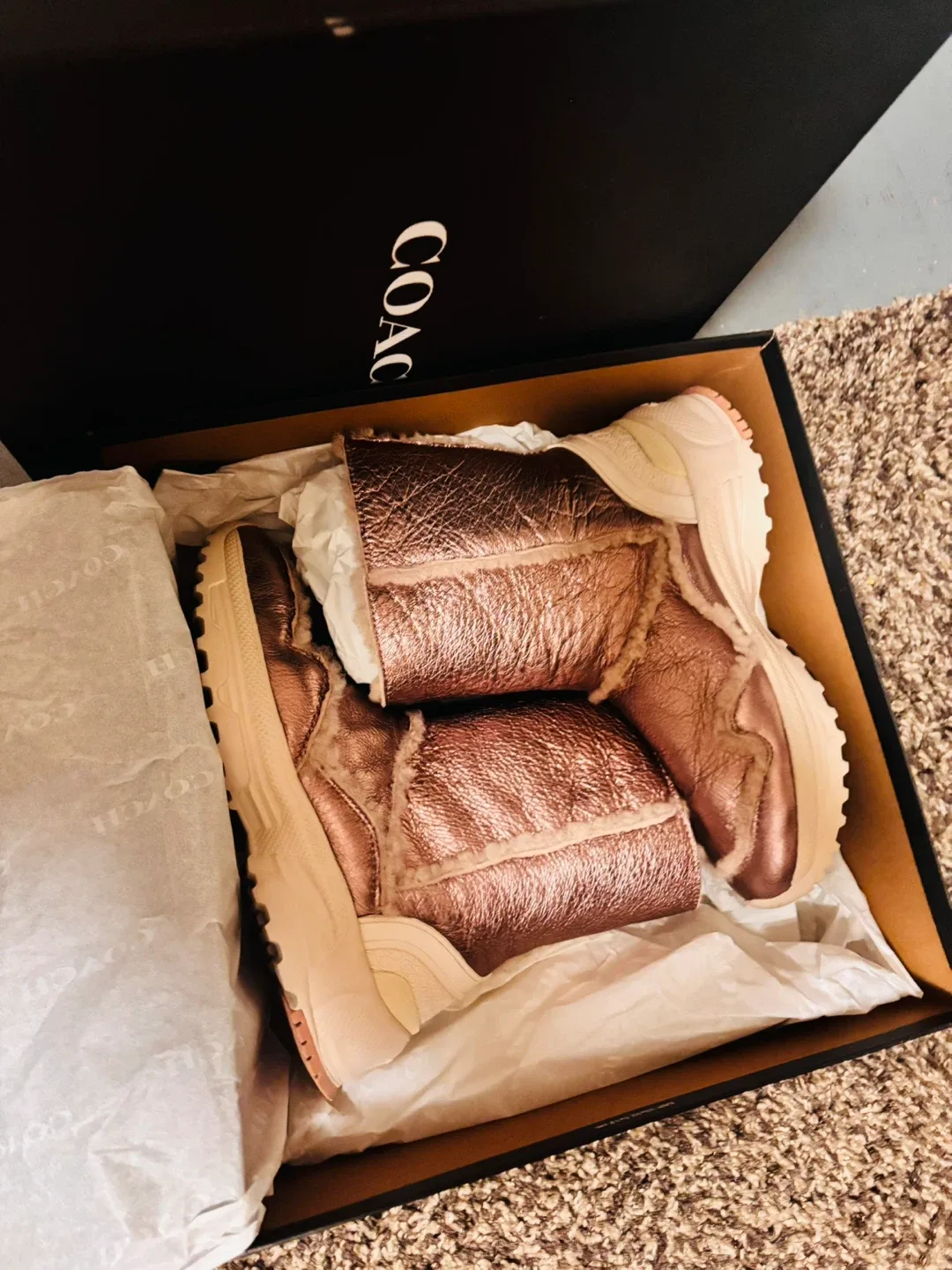 Coach Signature Hobo Bag & Metallic Boots w/ Box image indicator(2)