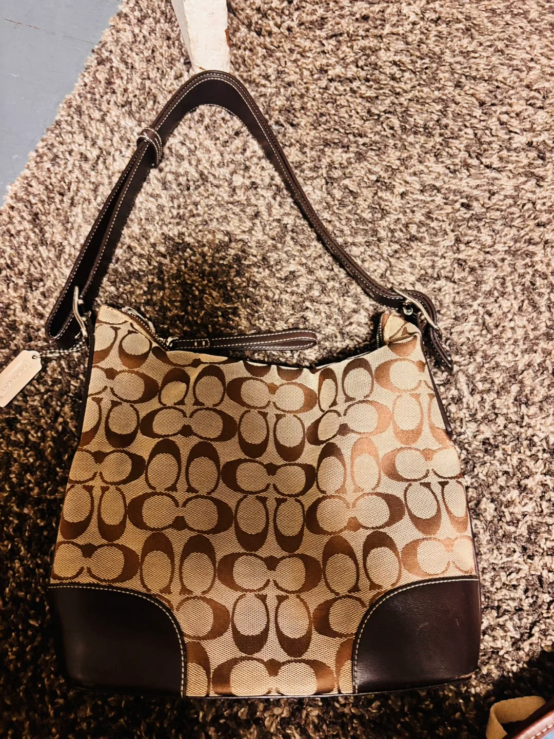 Coach Signature Hobo Bag & Metallic Boots w/ Box image indicator(7)