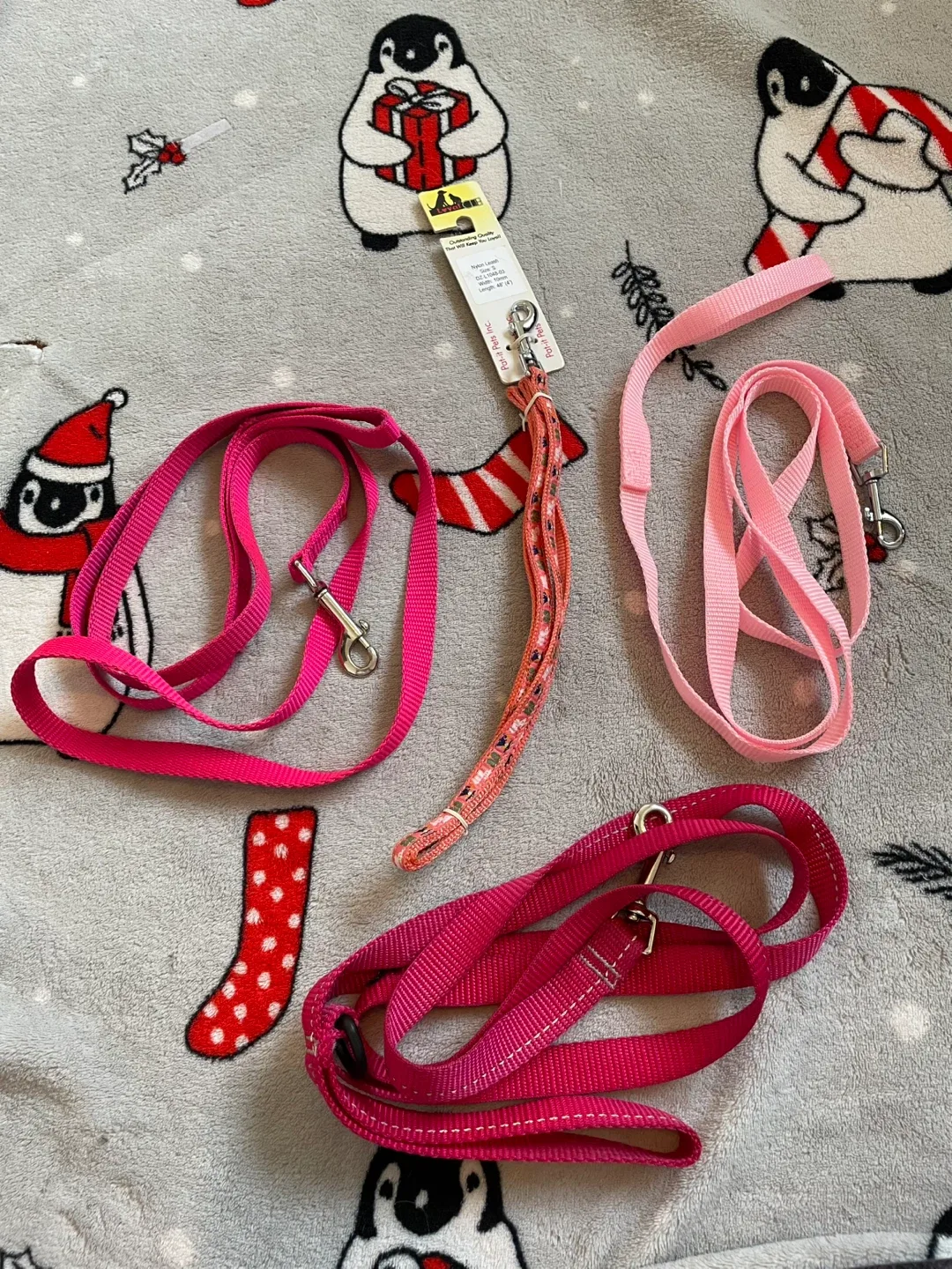 XS/S Dog Leashes thumbnail