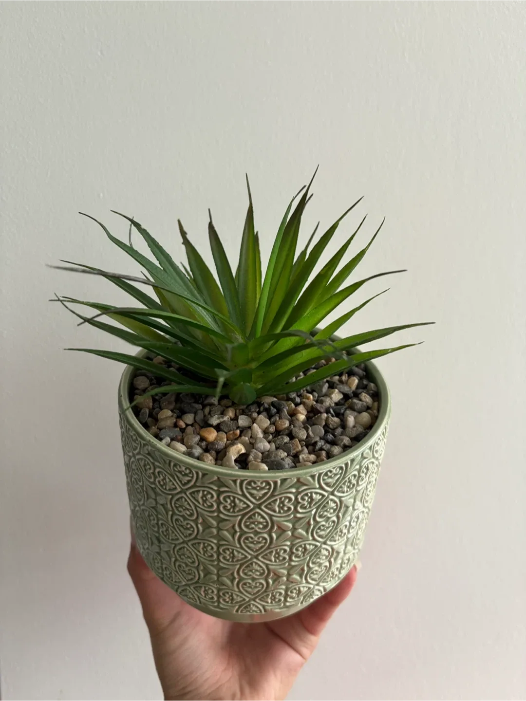 Green Decorative Plant Pot image indicator(2)