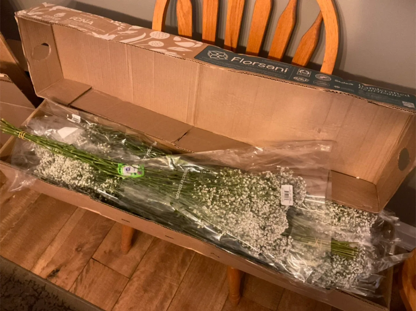 Florsani Baby's Breath Flowers