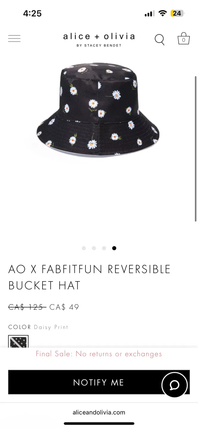 Alice & Olivia - New Matching Tote Bag & Bucket Hat Set image indicator(3)