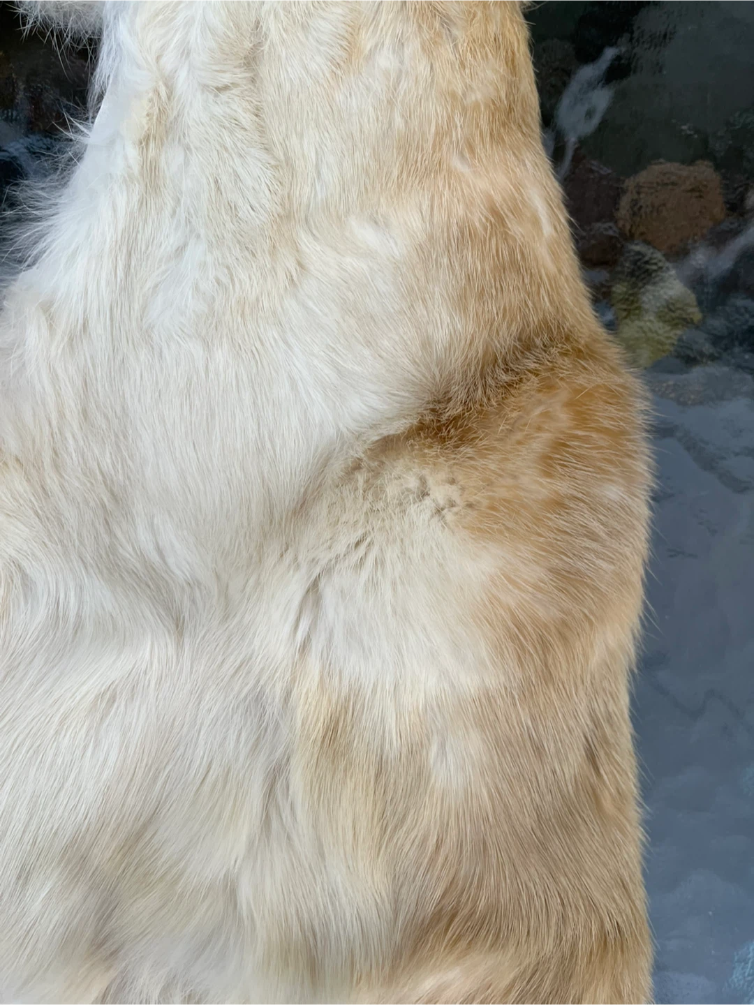 Fur Vest DIY Kit - Beige & Brown - photo 5