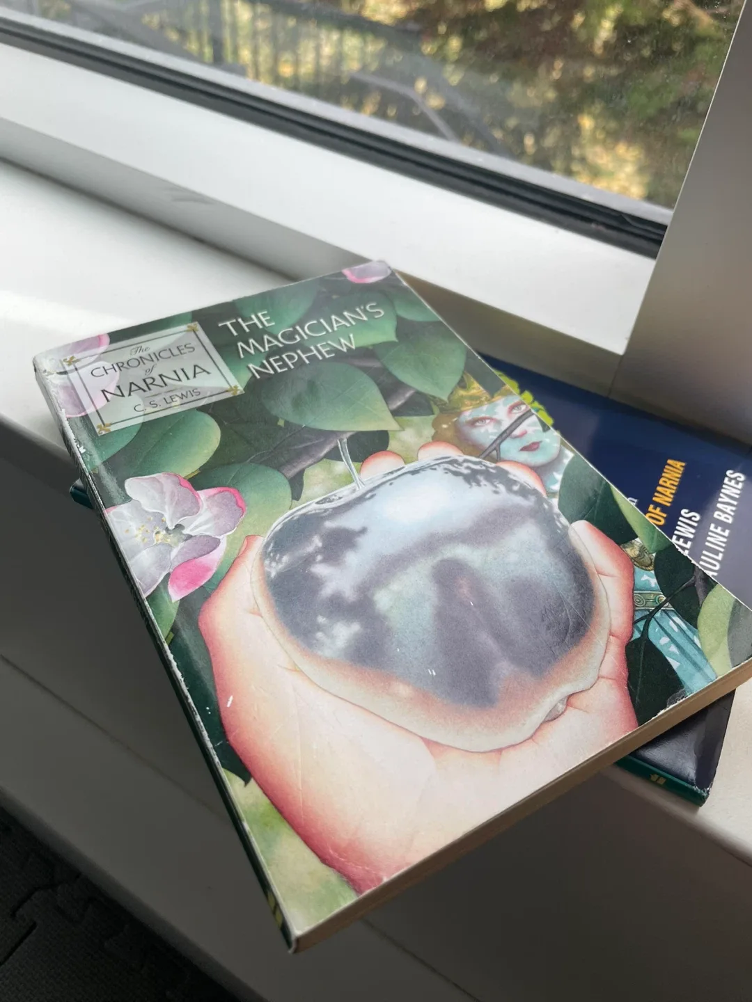 The Chronicles of Narnia by C.S. Lewis image indicator(3)