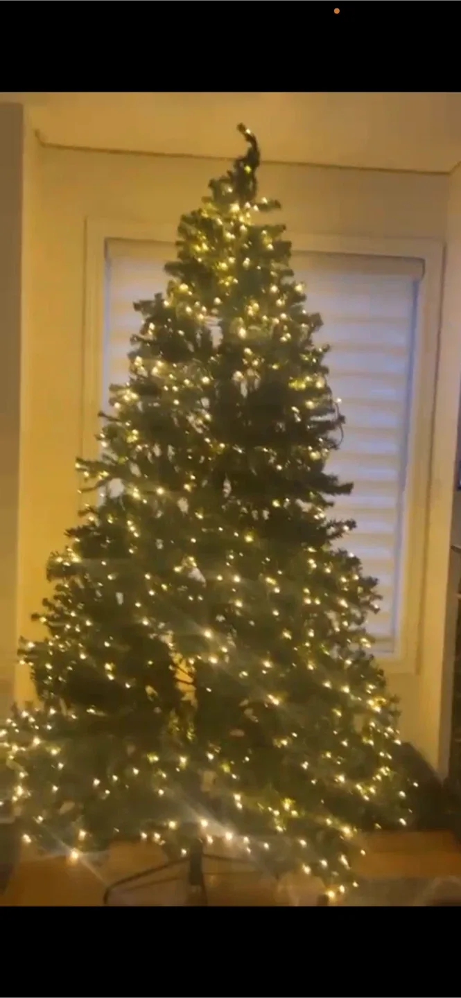 Christmas Tree with Lights image indicator(2)