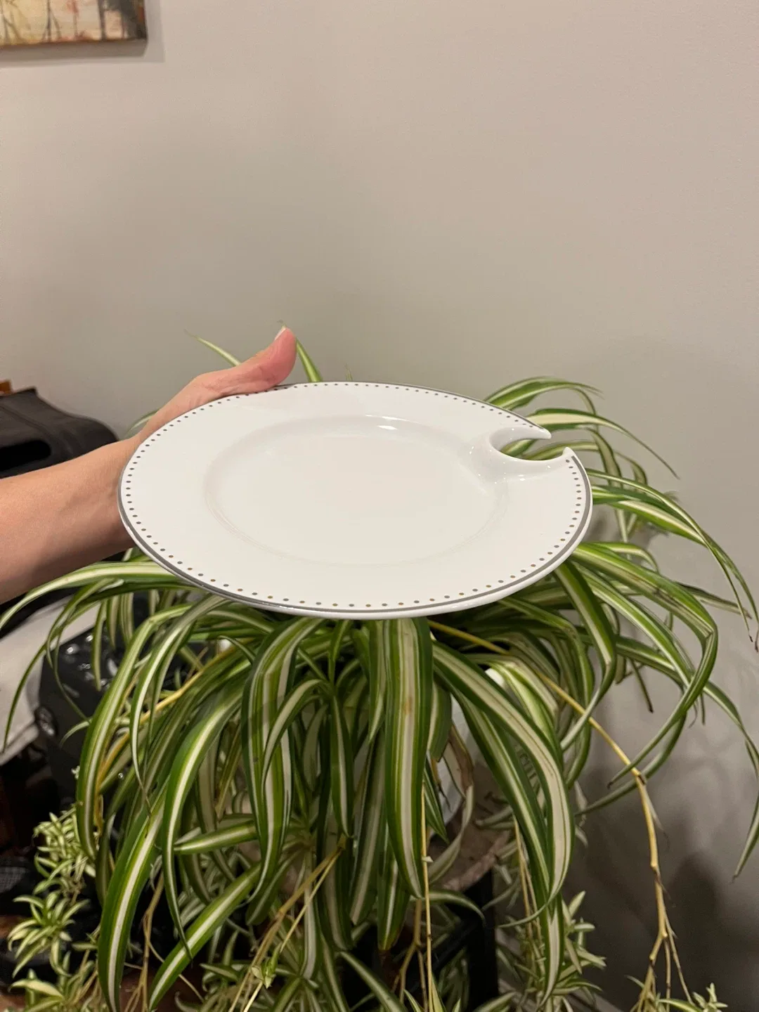 White Plate with Wine Glass Holder image indicator(3)