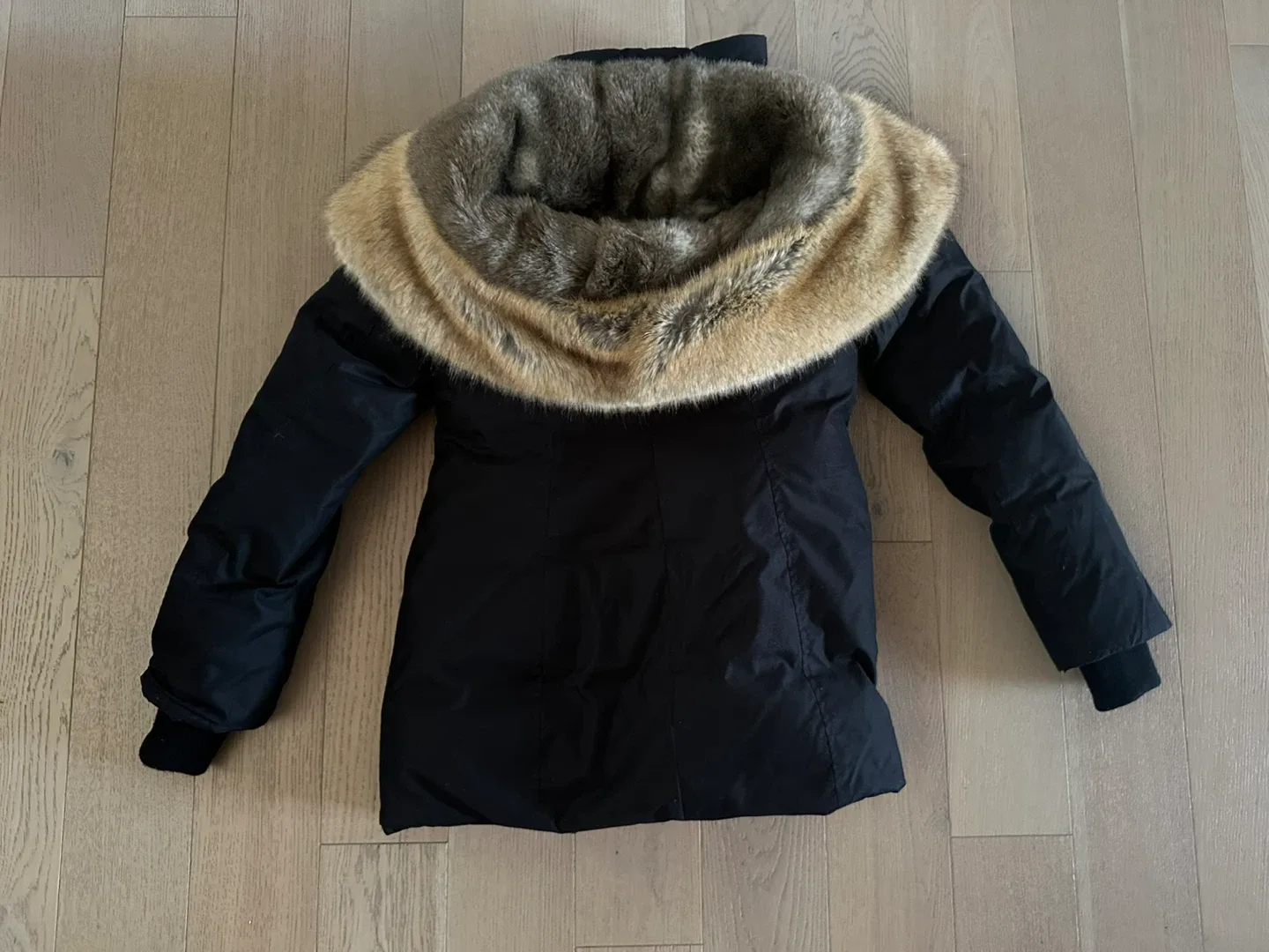 ARITZIA babaton Harrison Parka  small - Goosedown & waterproof image indicator(3)